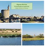 Apartament Le Panoramique Coeur De Proche Plages Grand Garage Clim - Rossiconciergerie - Linge Inclus La Grande-Motte